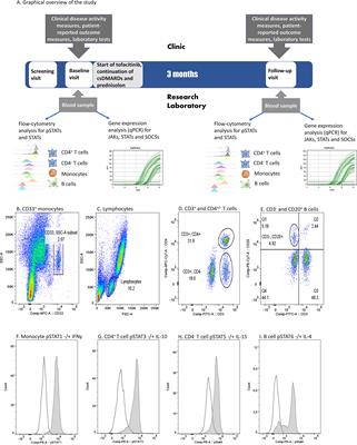 Tofacitinib Suppresses Several JAK-STAT Pathways in Rheumatoid Arthritis In Vivo and Baseline Signaling Profile Associates With Treatment Response